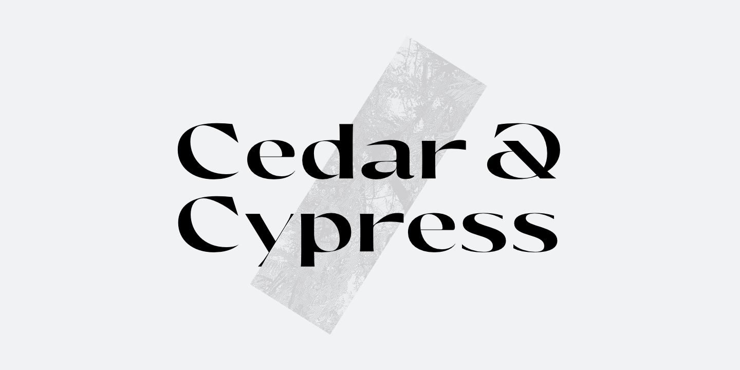 Olivette CF Heavy Italic Font preview